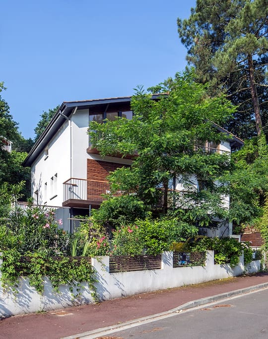 L’appartement se situe derrière la végétation, totalement indépendant de la maison principale.