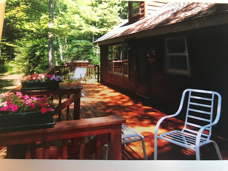 Large Deck & Gas Grill