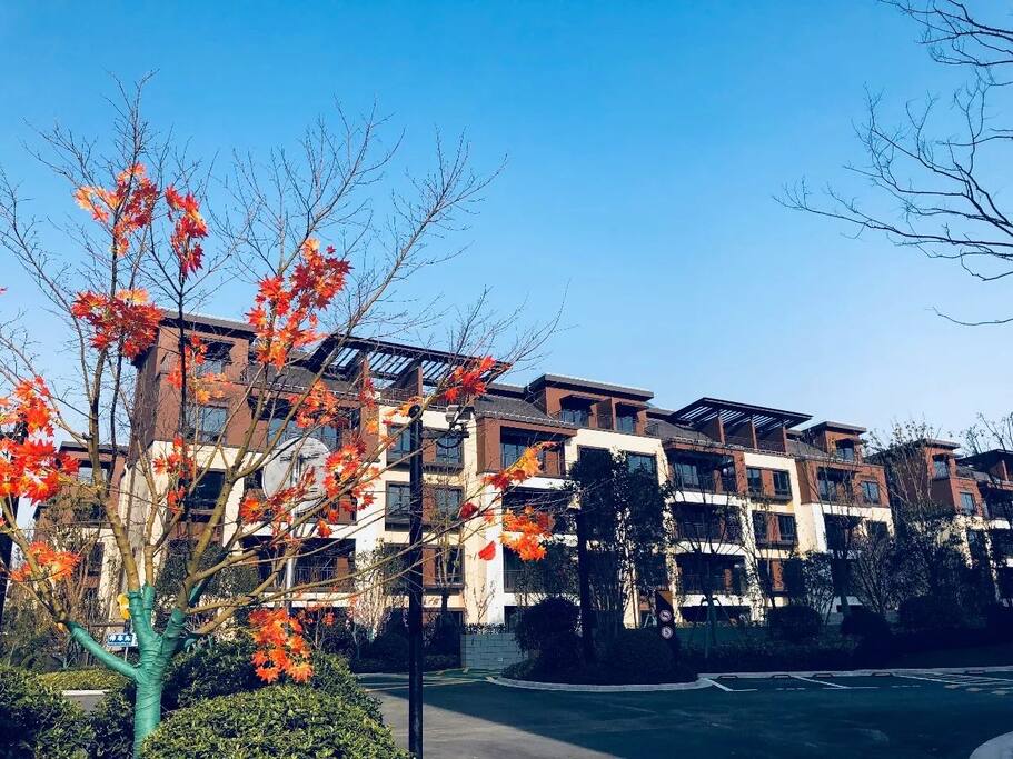 小镇内的环境
