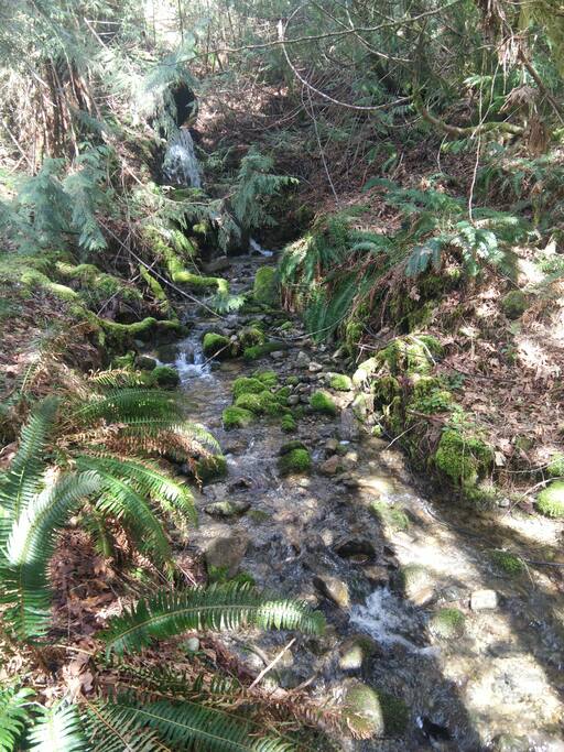 The creek that runs beside the cabin. It is running pretty strong right now!