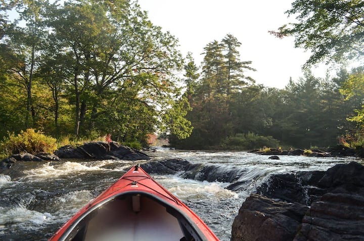 Salmon River Wilderness Camp: Yurt & 300 acres