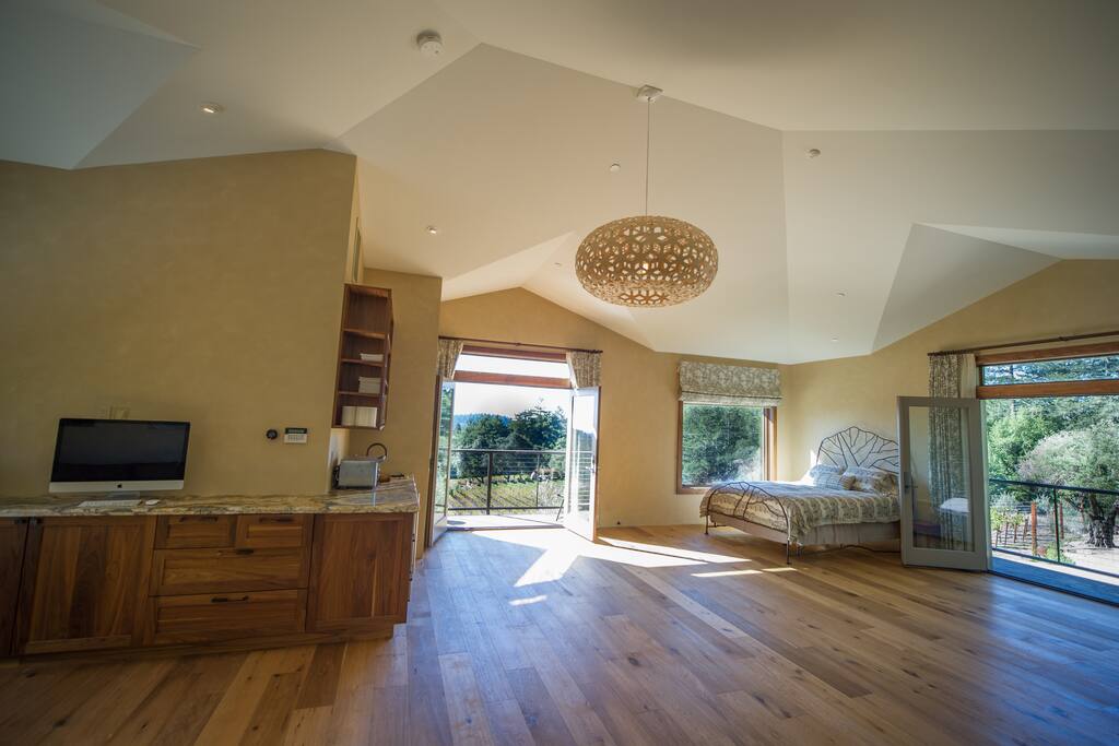 One big spacious gorgeous open room and a bathroom.