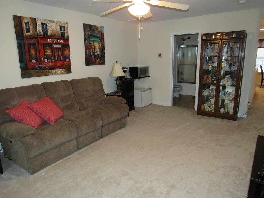 Living Room Area