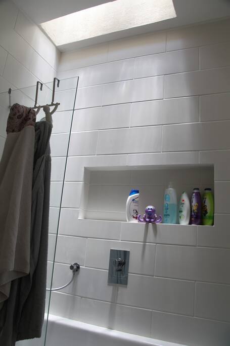 Main Shower/Bath with Skylight