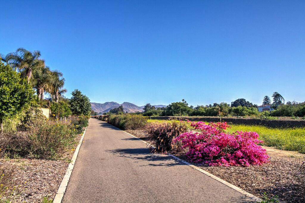 Situated in a lovely residential area, this home offers peace and privacy along with convenience to restaurants, shops and various other attractions.