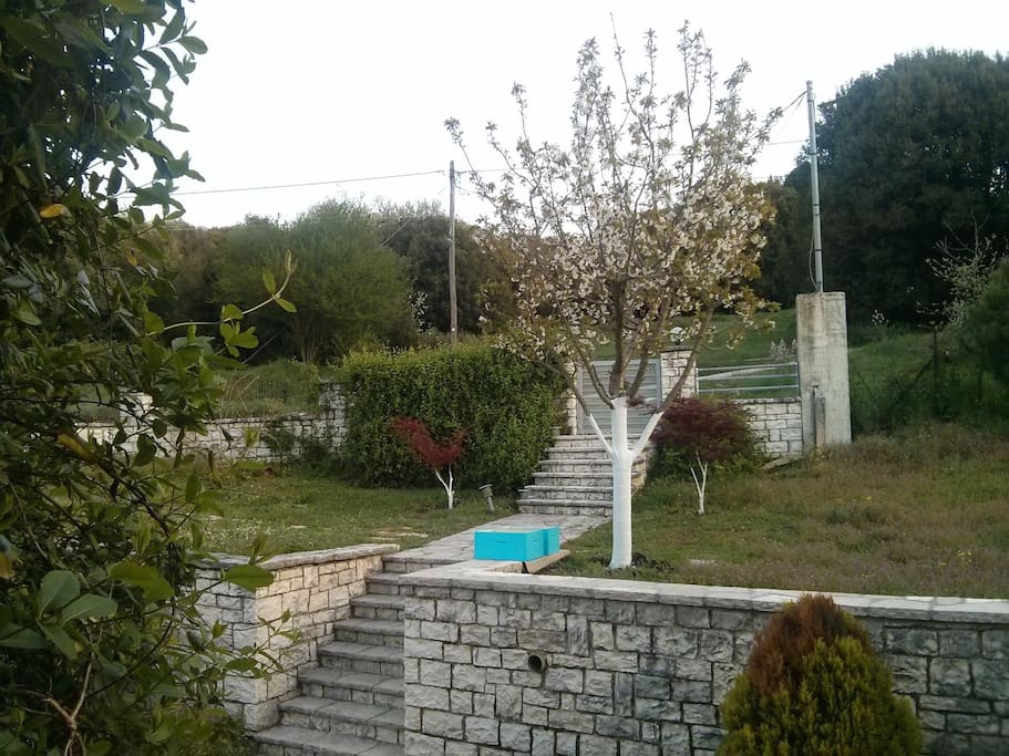 Entrance to our yard