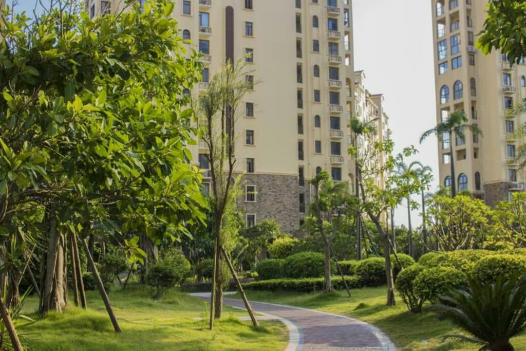 社区里的景观