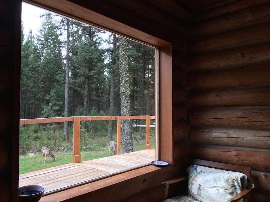 Picture window from dining room table