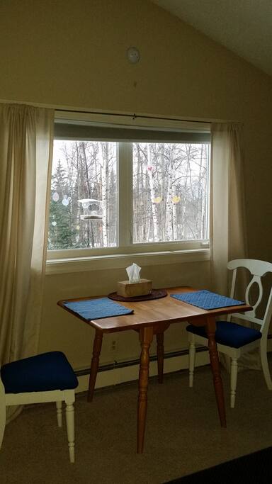 BRIGHT south facing window in kitchen