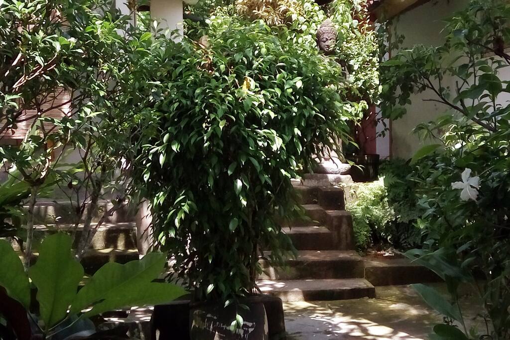 Garden Entrance to your Place