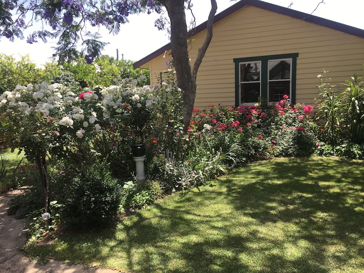 Top 8 Airbnb Vacation Rentals In Colac, Australia Updated 2024 Trip101