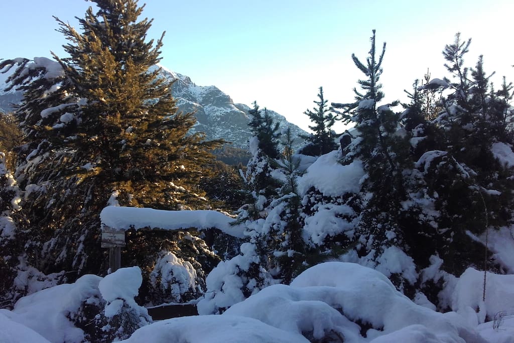 vista invernal de la zona