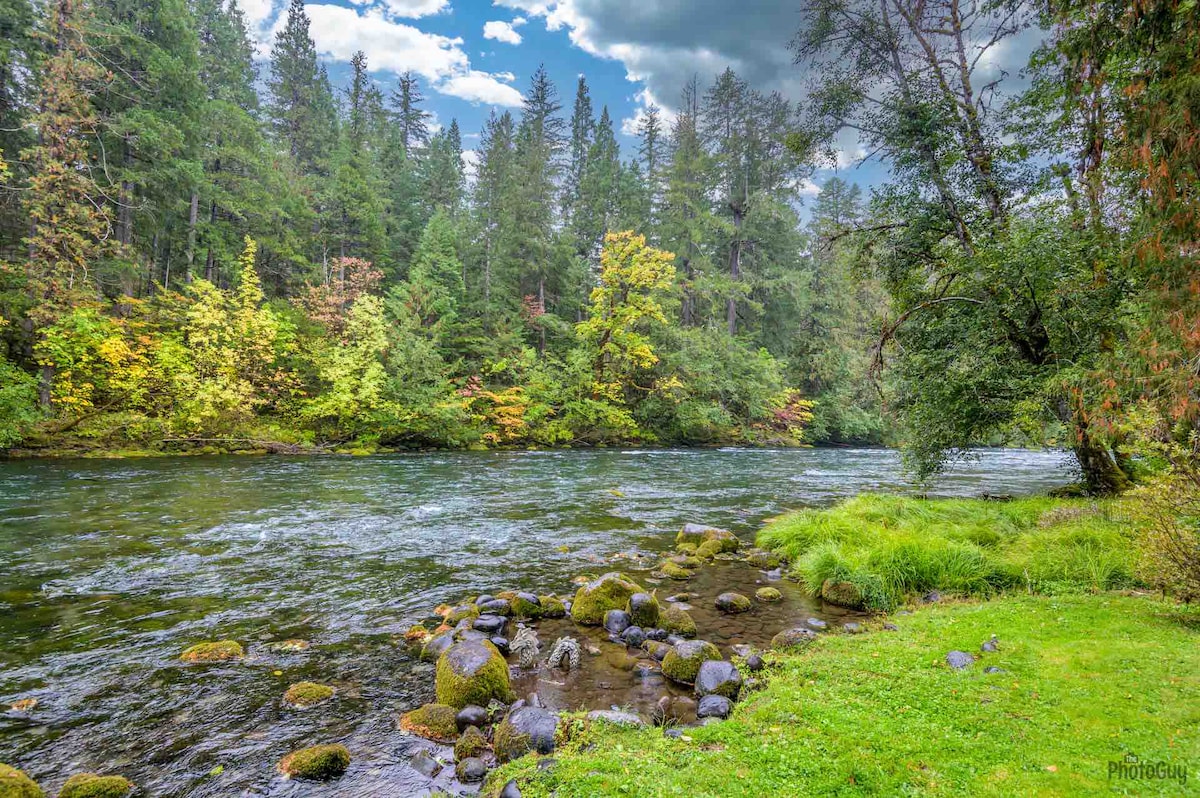 The McKenzie River flows gently through a forested area, surrounded by vibrant green grass and rocky banks. Tall trees with autumn foliage line the shore, creating a serene natural landscape under a partly cloudy sky.