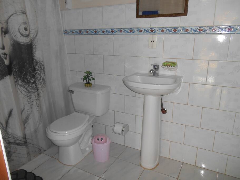 Baño de la primera habitacion.