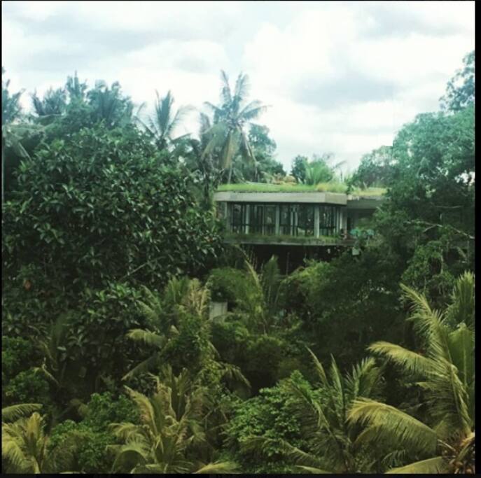 yoga center