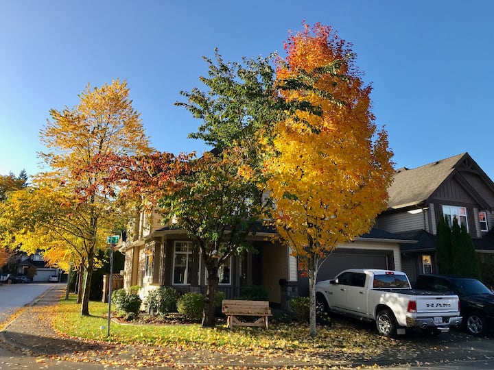 Alouette Lake Holiday Rentals & Homes British Columbia, Canada Airbnb