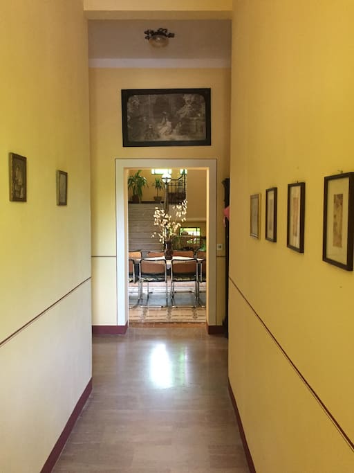 Ingresso