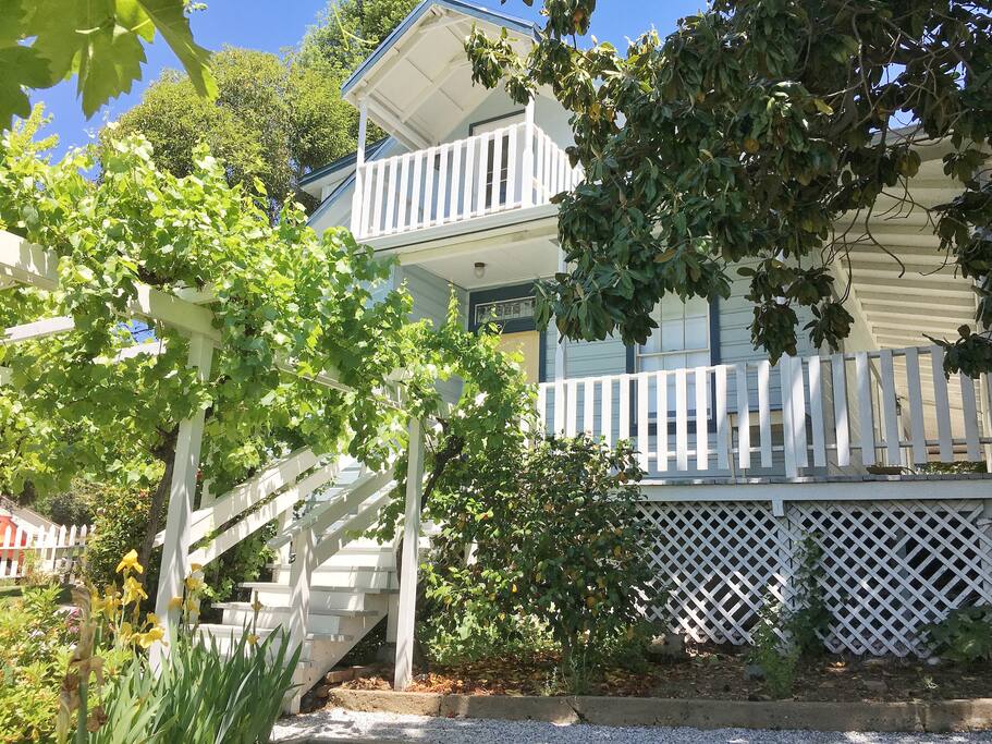 Front Entrance through arbor covered in grapevines!