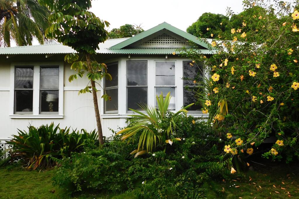 Bay windows and double hung windows. Photo by William Neal