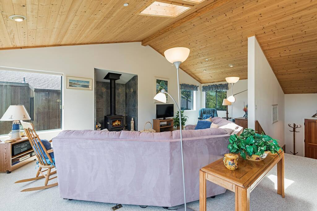 Living room with woodstove
