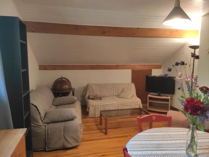 Barcelonnette: Appartement Vue Montagnes - Barcelonnette