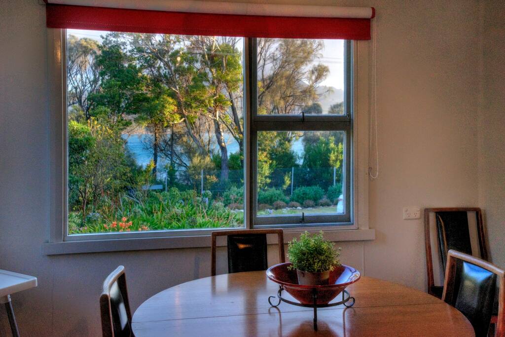 Ocean views through the trees