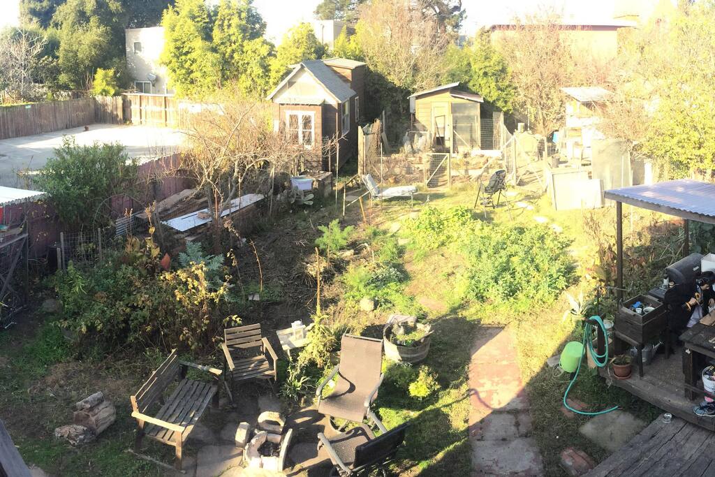 Balcony view of the backyard