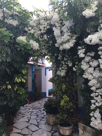 Apartamentos Maia 3 - V.N.Milfontes