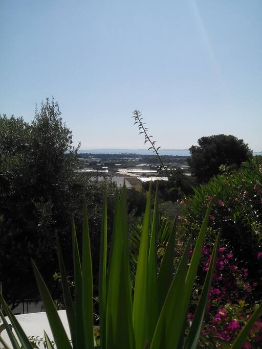 Vue plein Sud depuis l'entrée