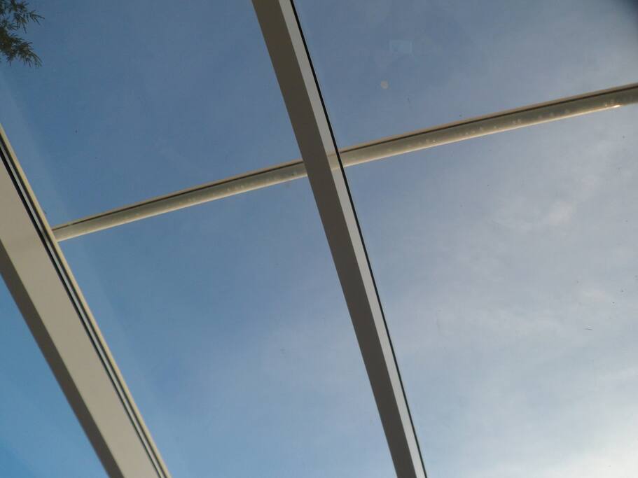 Der Blick nach oben...in den blauen Himmel