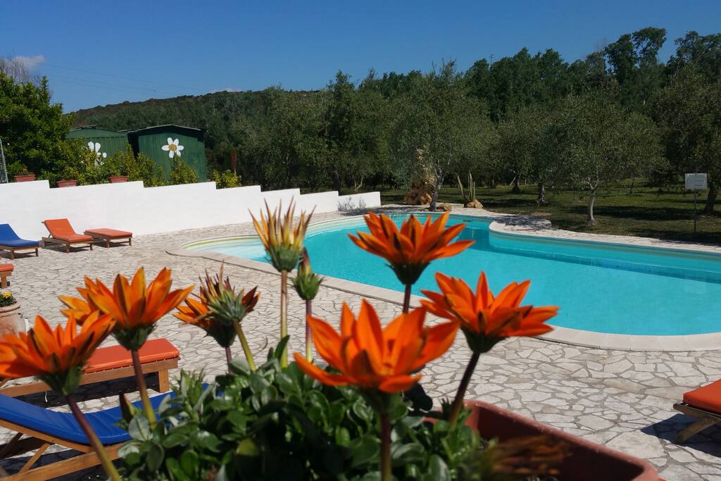 LA PISCINA