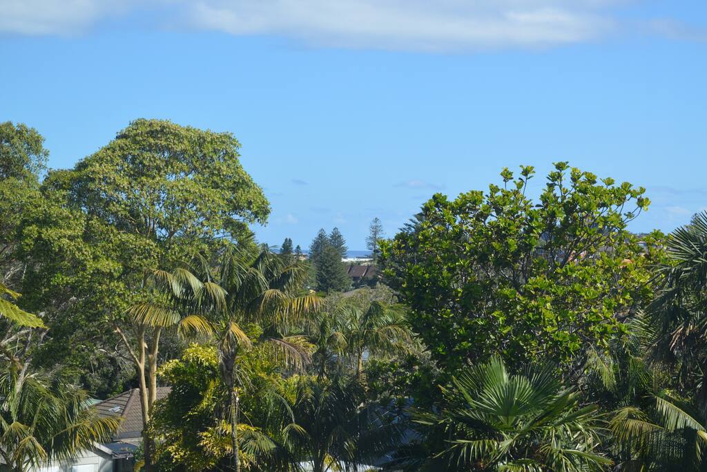 District views looking out towards Mona Vale Beach