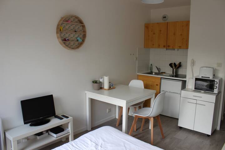 Studio Rue De Dinan Centre Ville De Rennes Apartments For Rent In Rennes Bretagne France