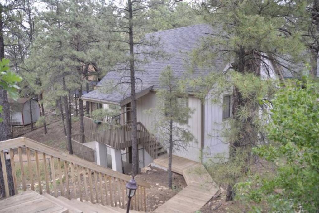 Seated in Ponderosa Pines