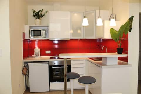 CityCentreFlat 50m2 for 4 peoples with 2 bedrooms