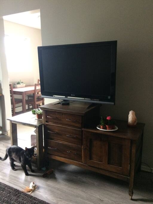 Tv with android box, (and Francis!)
