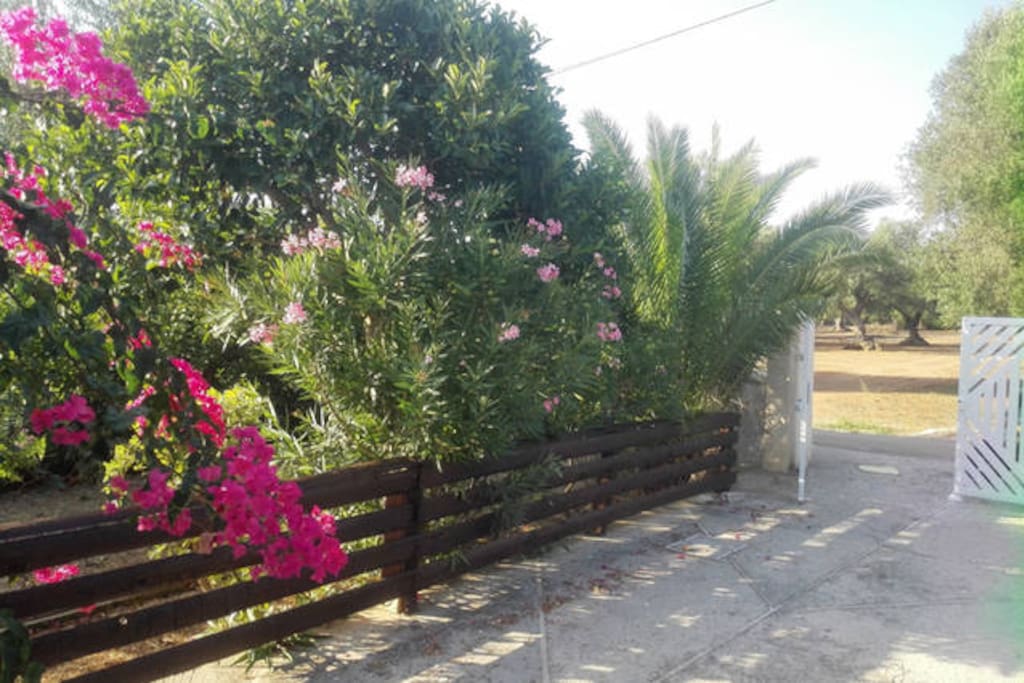 Ingresso villa