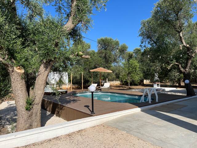– AL Villa Puglia – Wonderful villa with a Pool