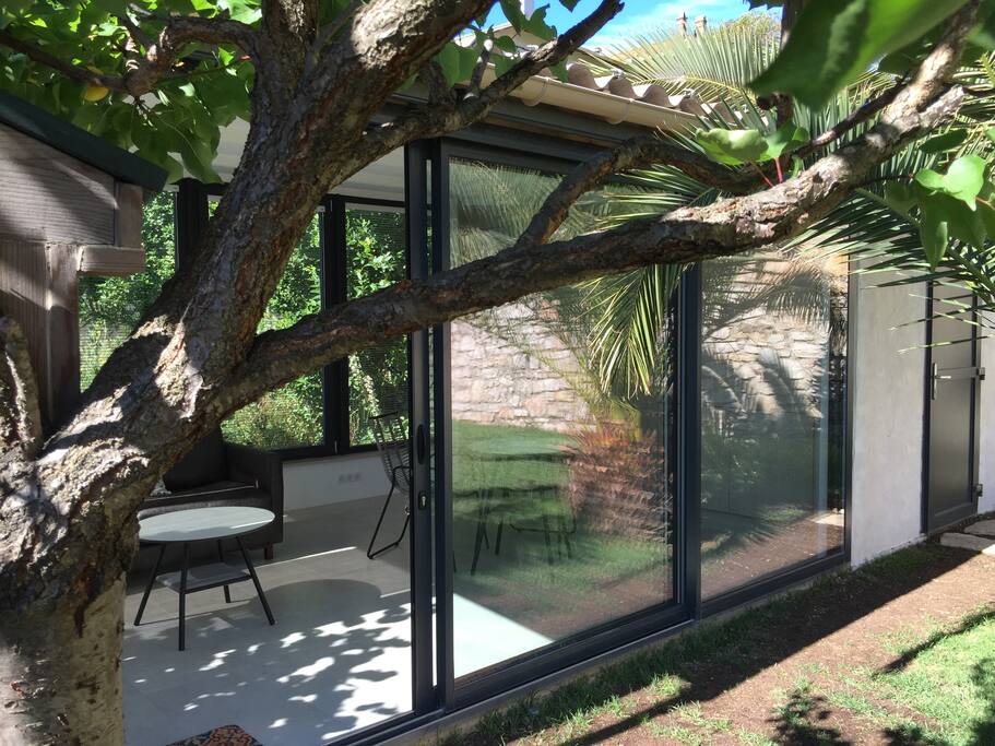Studio surrounded by trees