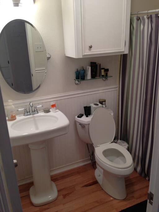 View of the guest bathroom.