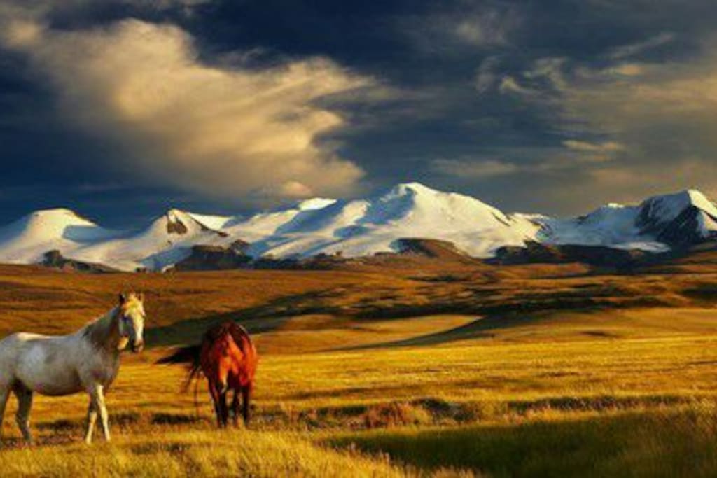 My country is best countryside