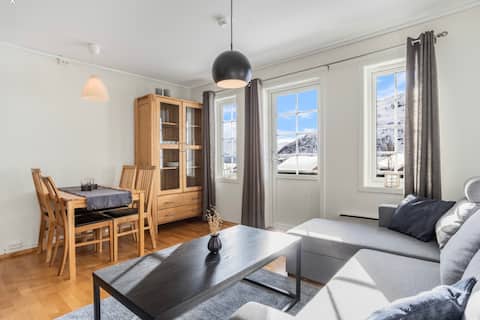 Villa Wallin - Cozy apartment in Røldal Alpingrend