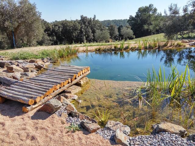 Casa historica con biopiscina gallery image 3