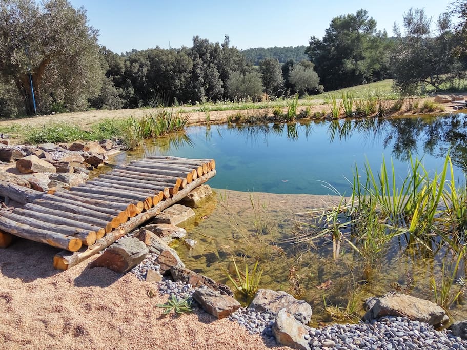 la piscina té platja de sorra, trampolí i zona de prat per prendre el sol.