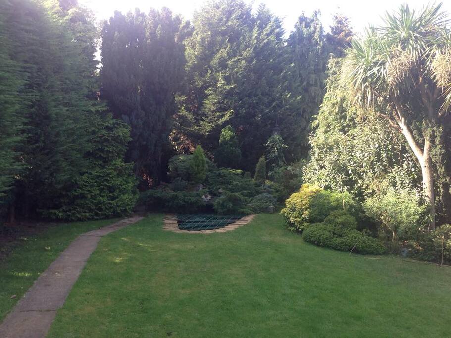 Garden view from the house