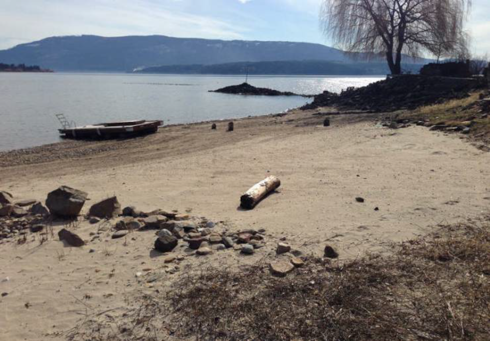 Private Beach (Late Summer)