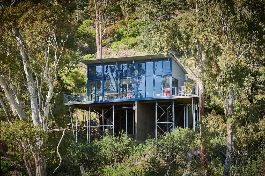 The apartments sit high on the Tamar Ridge in a bush land setting. Private with a wonderful view.