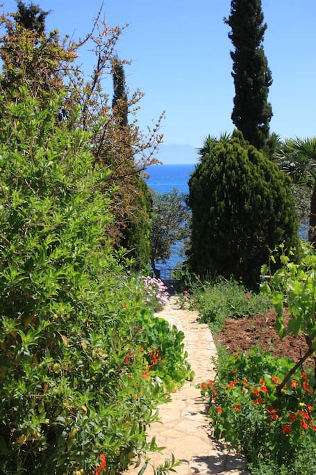 the path to the beach