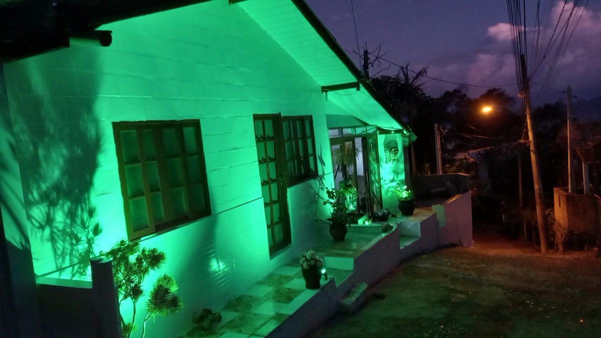 A charming house exterior is illuminated in soft green light against the night sky. The façade features large windows and a welcoming entrance, with several potted plants adorning the steps. The surrounding area includes visible power lines and a distant street light.