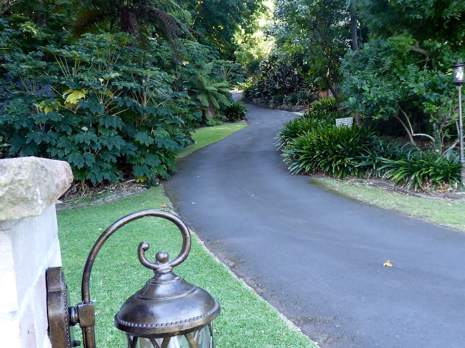 The driveway to our home..... "As we drove onto the property we were pleased with the lovely greenery of the surrounding trees and the nice little pockets we were planning to explore" Lynn.